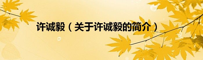 許誠(chéng)毅（關(guān)于許誠(chéng)毅的簡(jiǎn)介）