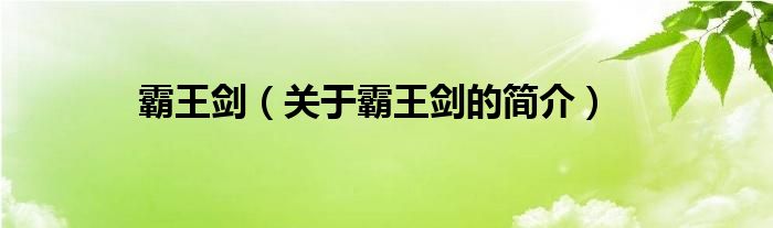 霸王劍（關(guān)于霸王劍的簡介）