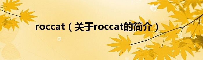 roccat（關(guān)于roccat的簡介）