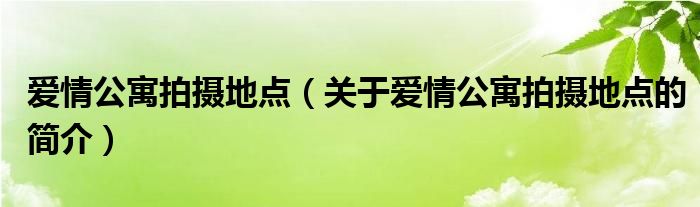 愛情公寓拍攝地點（關(guān)于愛情公寓拍攝地點的簡介）