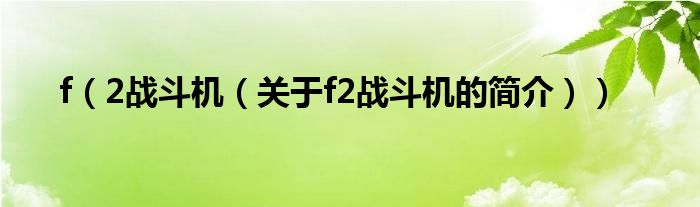 f（2戰(zhàn)斗機（關(guān)于f2戰(zhàn)斗機的簡介））