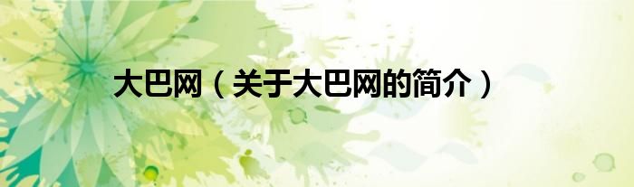 大巴網(wǎng)（關(guān)于大巴網(wǎng)的簡介）