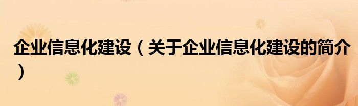 企業(yè)信息化建設(shè)（關(guān)于企業(yè)信息化建設(shè)的簡介）