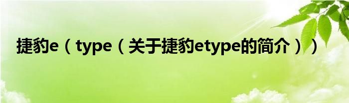 捷豹e（type（關(guān)于捷豹etype的簡介））