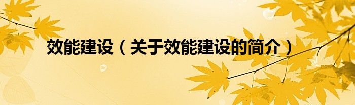 效能建設（關于效能建設的簡介）