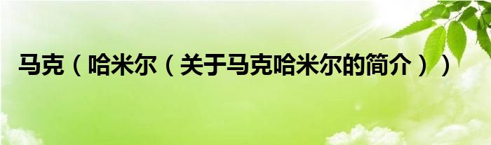 馬克（哈米爾（關(guān)于馬克哈米爾的簡介））