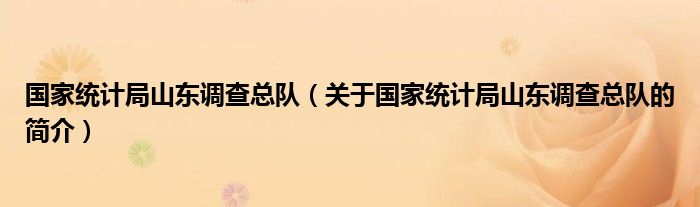 國家統(tǒng)計局山東調(diào)查總隊（關(guān)于國家統(tǒng)計局山東調(diào)查總隊的簡介）