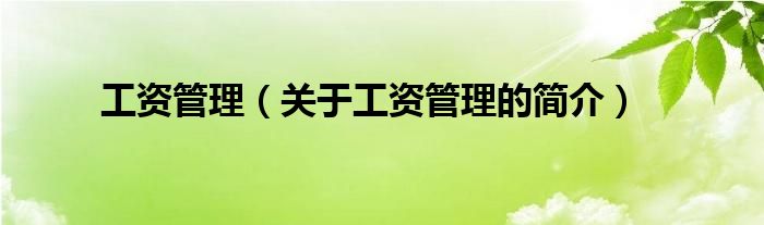 工資管理（關(guān)于工資管理的簡(jiǎn)介）