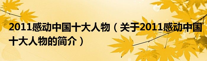 2011感動中國十大人物（關于2011感動中國十大人物的簡介）