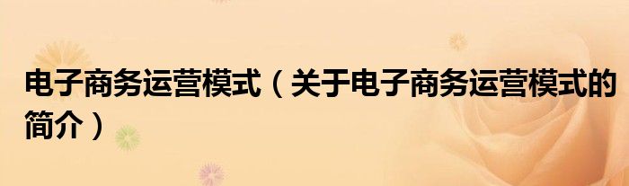 電子商務(wù)運(yùn)營模式（關(guān)于電子商務(wù)運(yùn)營模式的簡介）