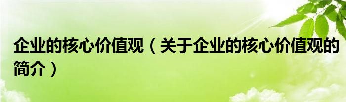 企業(yè)的核心價值觀（關于企業(yè)的核心價值觀的簡介）