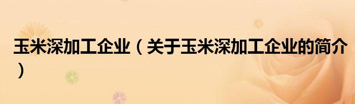 玉米深加工企業(yè)（關(guān)于玉米深加工企業(yè)的簡(jiǎn)介）