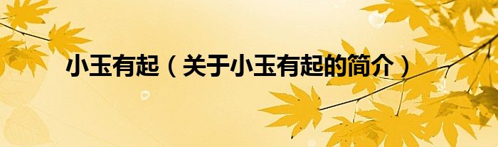 小玉有起（關(guān)于小玉有起的簡(jiǎn)介）