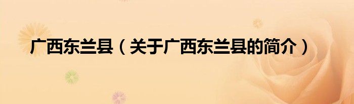 廣西東蘭縣（關(guān)于廣西東蘭縣的簡(jiǎn)介）