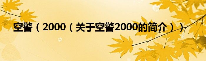 空警（2000（關(guān)于空警2000的簡介））