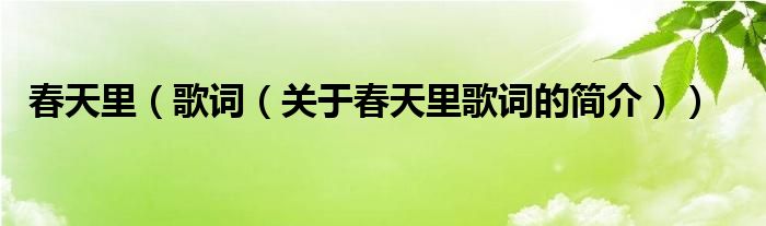 春天里（歌詞（關(guān)于春天里歌詞的簡介））