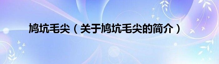 鳩坑毛尖（關(guān)于鳩坑毛尖的簡(jiǎn)介）