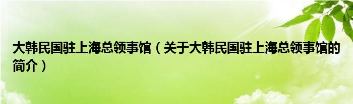 大韓民國(guó)駐上?？傤I(lǐng)事館（關(guān)于大韓民國(guó)駐上?？傤I(lǐng)事館的簡(jiǎn)介）