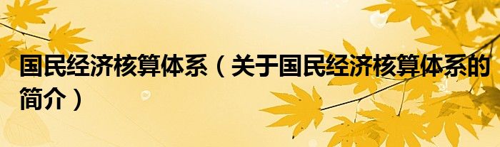 國(guó)民經(jīng)濟(jì)核算體系（關(guān)于國(guó)民經(jīng)濟(jì)核算體系的簡(jiǎn)介）