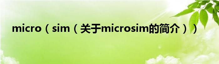 micro（sim（關于microsim的簡介））