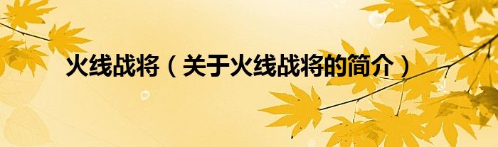 火線戰(zhàn)將（關(guān)于火線戰(zhàn)將的簡(jiǎn)介）