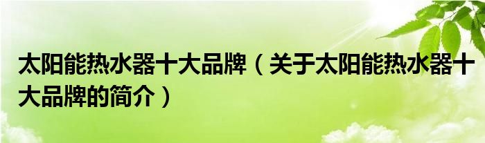 太陽能熱水器十大品牌（關(guān)于太陽能熱水器十大品牌的簡介）