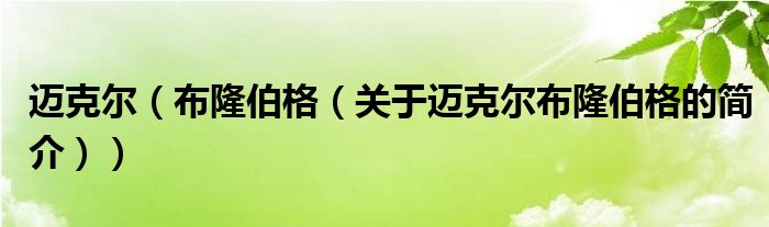 邁克爾（布隆伯格（關(guān)于邁克爾布隆伯格的簡介））