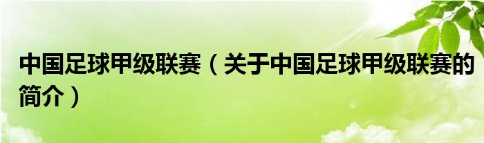 中國(guó)足球甲級(jí)聯(lián)賽（關(guān)于中國(guó)足球甲級(jí)聯(lián)賽的簡(jiǎn)介）