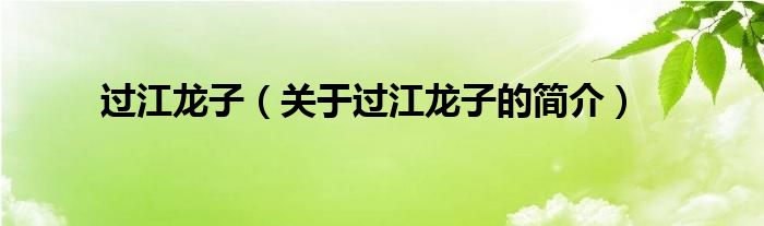 過江龍子（關(guān)于過江龍子的簡(jiǎn)介）