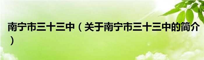 南寧市三十三中（關(guān)于南寧市三十三中的簡(jiǎn)介）