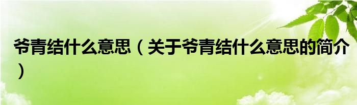 爺青結(jié)什么意思（關(guān)于爺青結(jié)什么意思的簡(jiǎn)介）