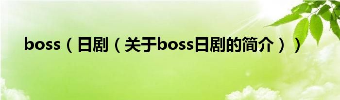 boss（日?。P(guān)于boss日劇的簡(jiǎn)介））