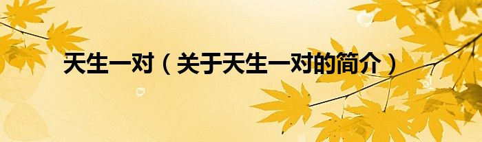 天生一對(duì)（關(guān)于天生一對(duì)的簡(jiǎn)介）