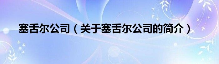 塞舌爾公司（關(guān)于塞舌爾公司的簡(jiǎn)介）