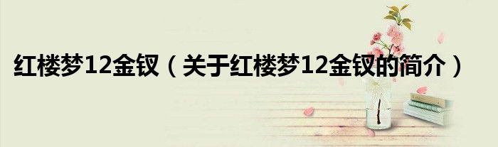 紅樓夢12金釵（關于紅樓夢12金釵的簡介）