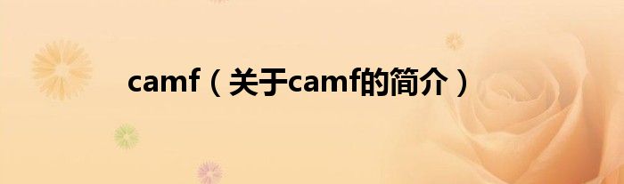 camf（關(guān)于camf的簡介）