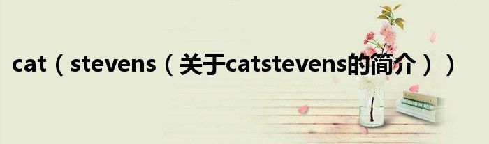 cat（stevens（關(guān)于catstevens的簡介））