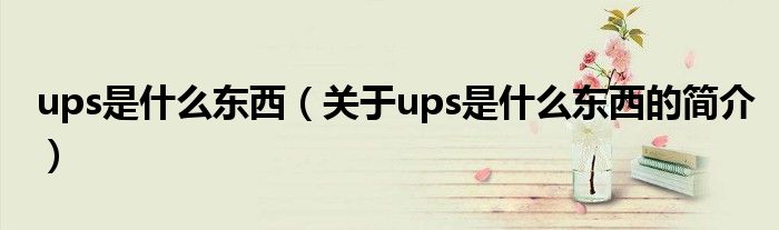 ups是什么東西（關于ups是什么東西的簡介）