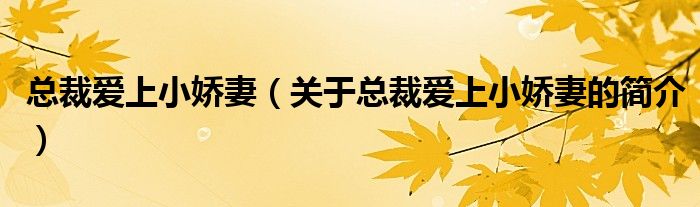 總裁愛(ài)上小嬌妻（關(guān)于總裁愛(ài)上小嬌妻的簡(jiǎn)介）