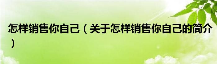 怎樣銷售你自己（關(guān)于怎樣銷售你自己的簡(jiǎn)介）