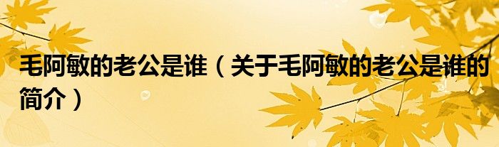 毛阿敏的老公是誰（關于毛阿敏的老公是誰的簡介）