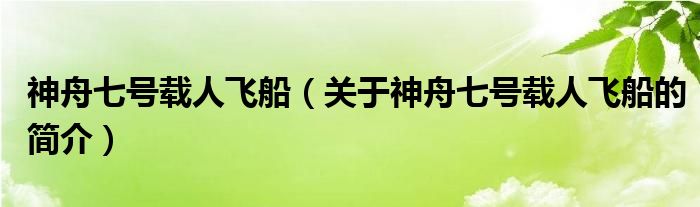 神舟七號(hào)載人飛船（關(guān)于神舟七號(hào)載人飛船的簡(jiǎn)介）