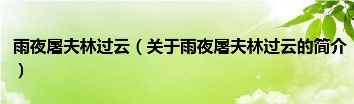 雨夜屠夫林過云（關(guān)于雨夜屠夫林過云的簡(jiǎn)介）