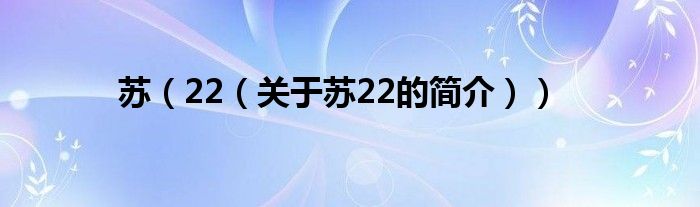 蘇（22（關(guān)于蘇22的簡(jiǎn)介））