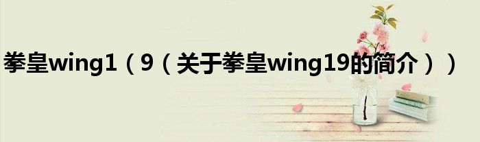 拳皇wing1（9（關(guān)于拳皇wing19的簡(jiǎn)介））