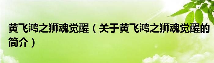 黃飛鴻之獅魂覺醒（關(guān)于黃飛鴻之獅魂覺醒的簡(jiǎn)介）