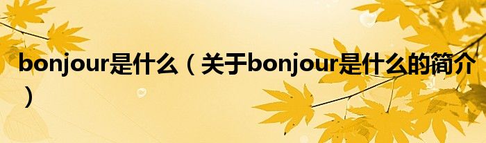 bonjour是什么（關于bonjour是什么的簡介）