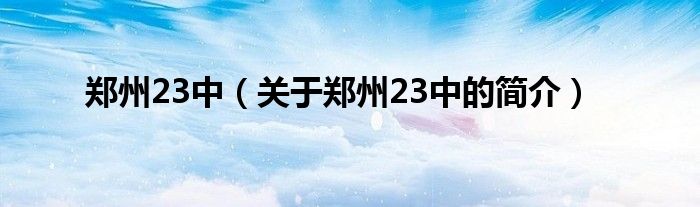 鄭州23中（關(guān)于鄭州23中的簡介）