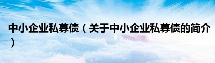 中小企業(yè)私募債（關于中小企業(yè)私募債的簡介）