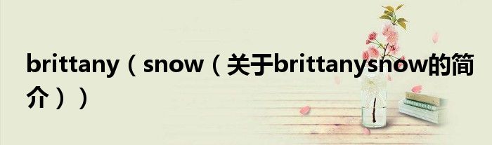 brittany（snow（關(guān)于brittanysnow的簡(jiǎn)介））